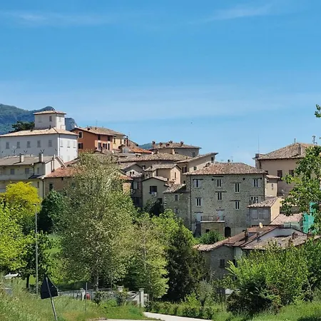 Fiori E Terra
